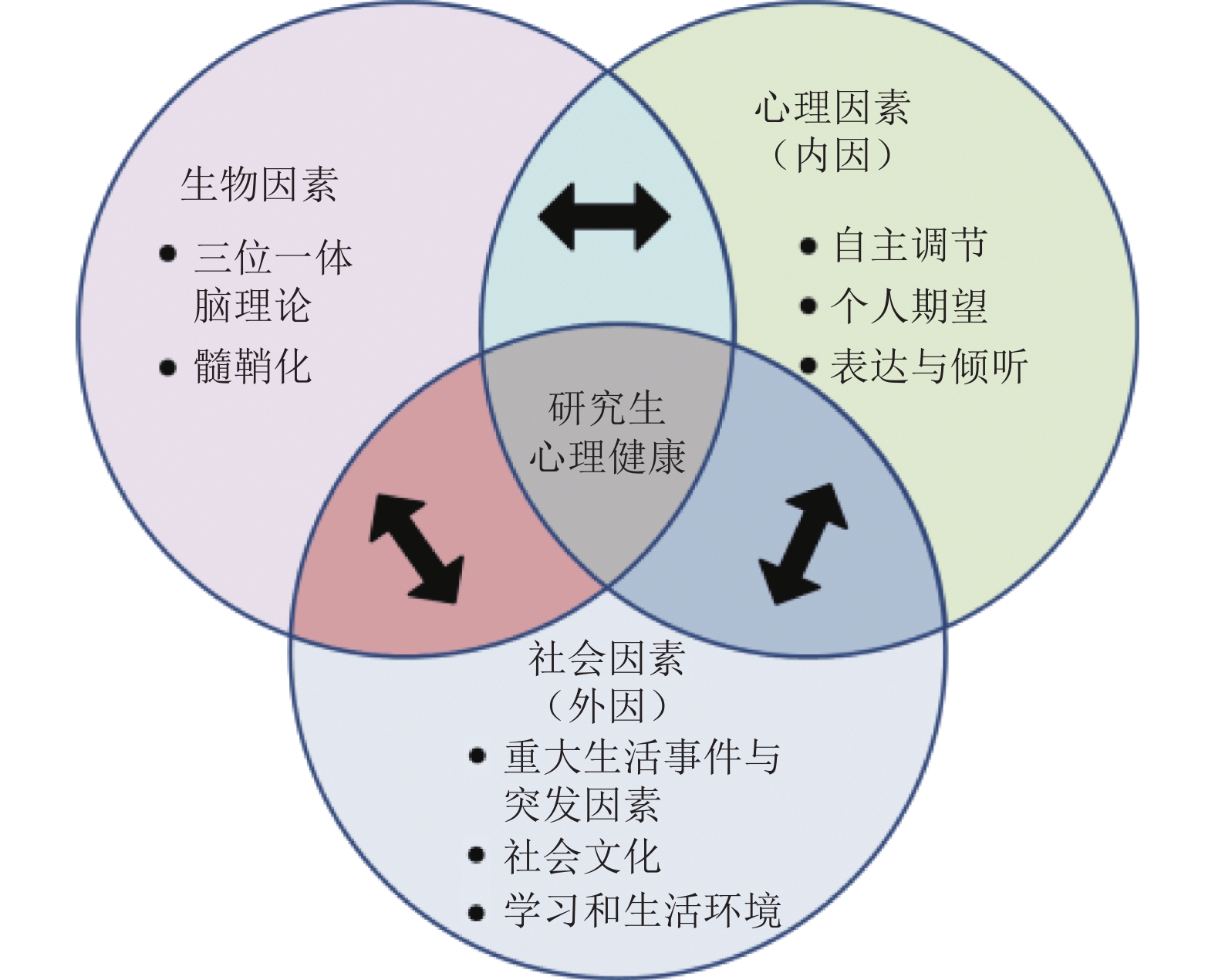 研究生心理问题成因分析框架